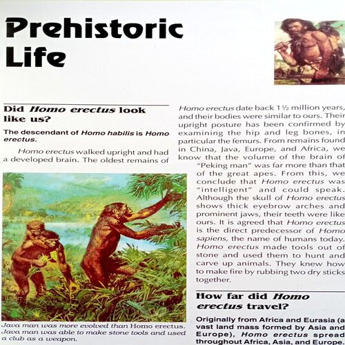 Children's First Encyclopedia Of Knowledge