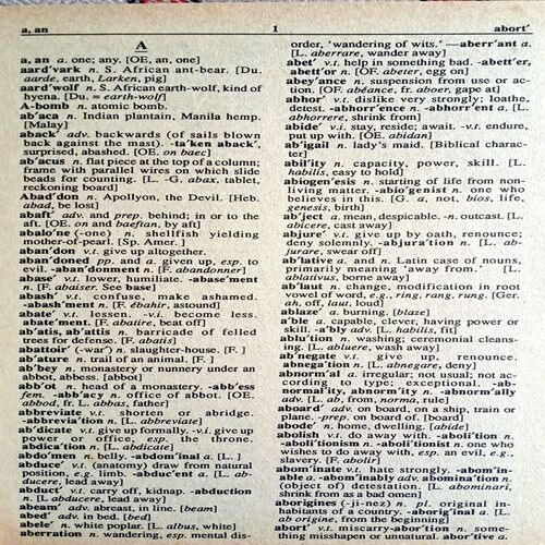 Webster's New Dictionary And Thesaurus