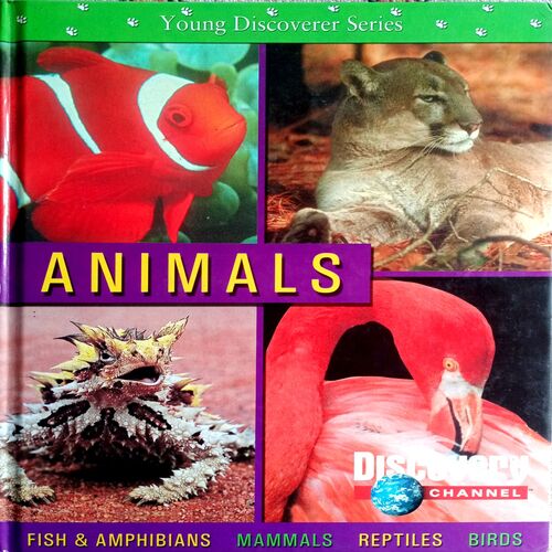 Universe, Animals & Earth Encyclopedia (Set Of 3 Books)