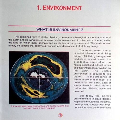 21st Century Children's Encyclopedia
