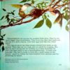 The Young Children's Encyclopedia