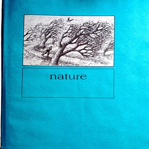 Picture Dictionary For Children