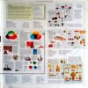 Illustrated Family Encyclopedia