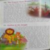 151 Jungle Tales