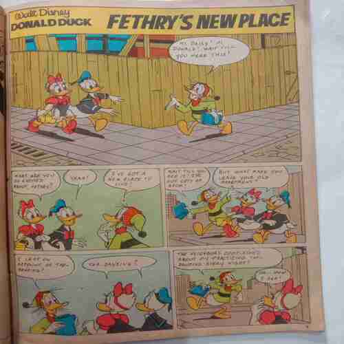 Donald Duck &  His Pals