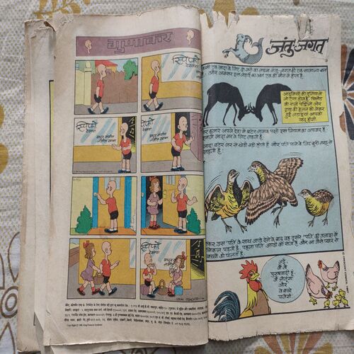 Bandi Jadugarni .