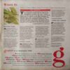 Graphiti ( 21 November 1999 )