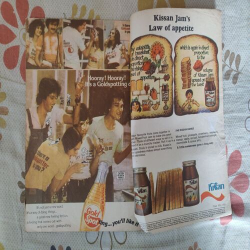 The Hidden Vipers .[ Front Cover Down Side Half Cut ].