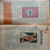 Graphiti ( 25 July 1999 )