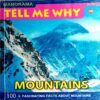 Tell Me Why (No. 36)