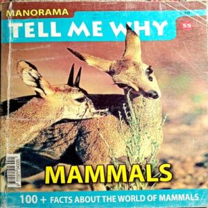 Tell Me Why (No. 55)