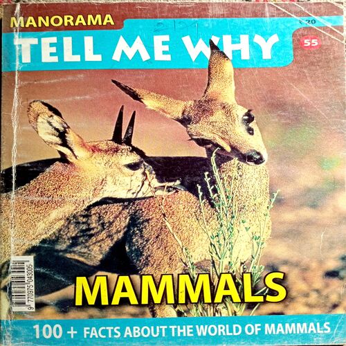 Tell Me Why (No. 55)
