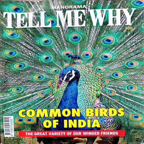 Tell Me Why (No. 132)