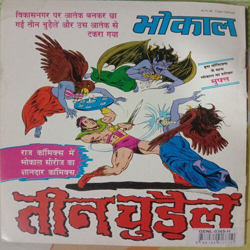 Turin Bhokal