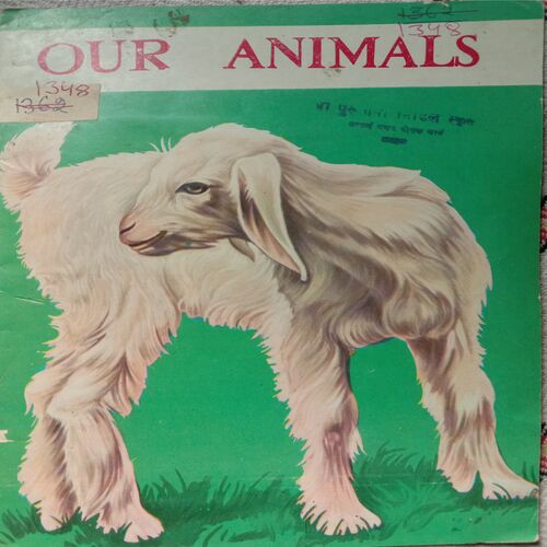Our Animals