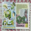 THE SNAKE CHARMER