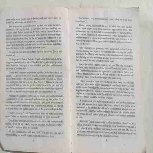 The Thief And Other Stories
