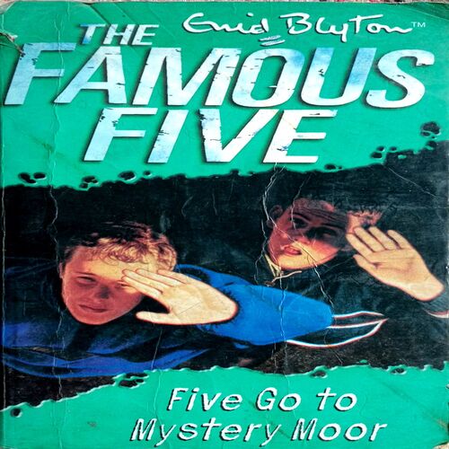 Five Go To Mystery Moore