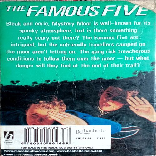 Five Go To Mystery Moore