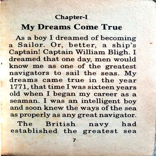 The Mutiny On Board H.M.S Bounty