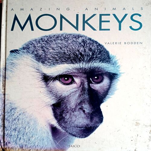 Monkeys Encyclopedia