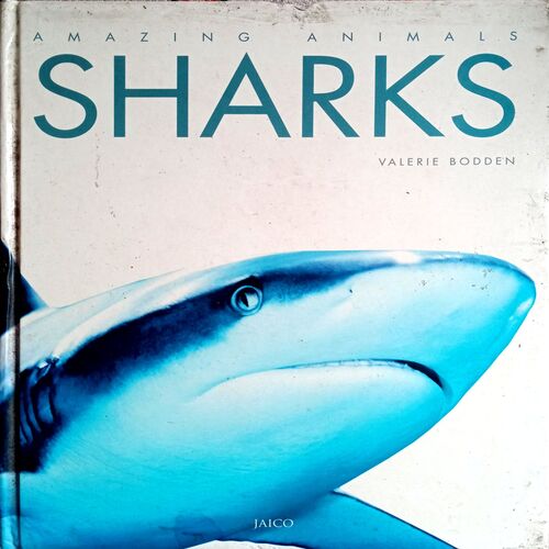 Sharks Encyclopedia