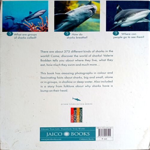 Sharks Encyclopedia