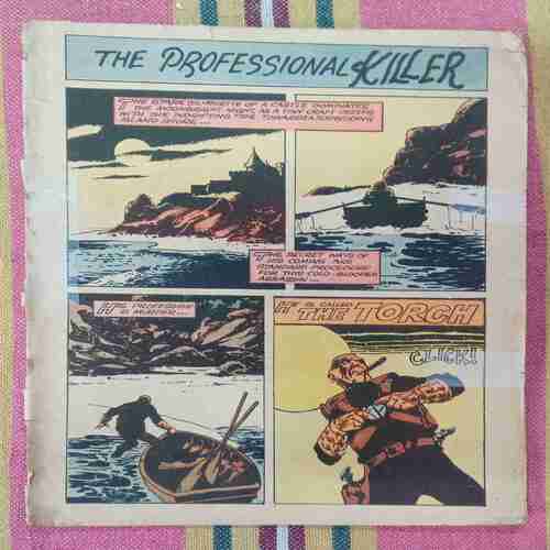 THE PROFESSIONAL KILLER (COVER LESS)