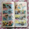 THE EMBITTERED PRINCESS