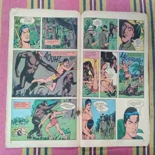 THE LITTLE WARRIOR TARZAN (COVER LESS)