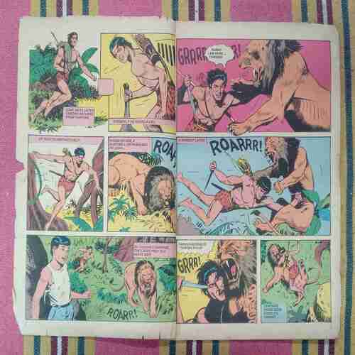 THE LITTLE WARRIOR TARZAN (COVER LESS)