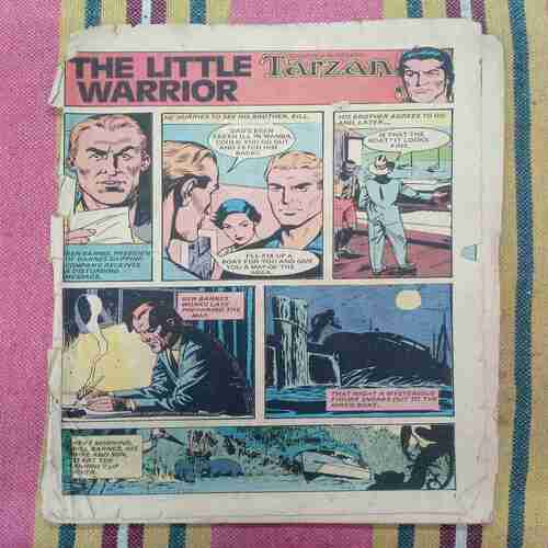 THE LITTLE WARRIOR TARZAN (COVER LESS)