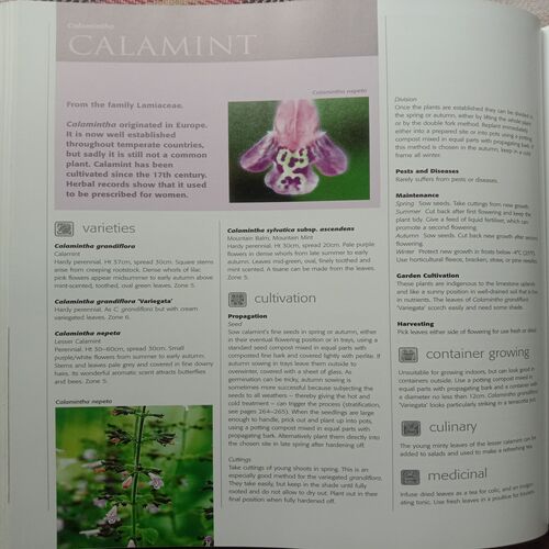 Jekka's Complete Herb Books