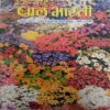 Bal Bharati ( January 2001)