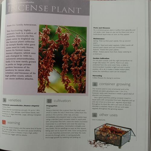 Jekka's Complete Herb Books