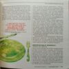 Reader's Digest (October 2018)
