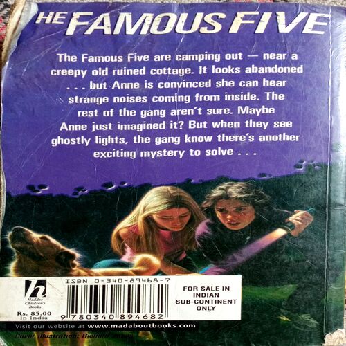 Five On a Secret Trail