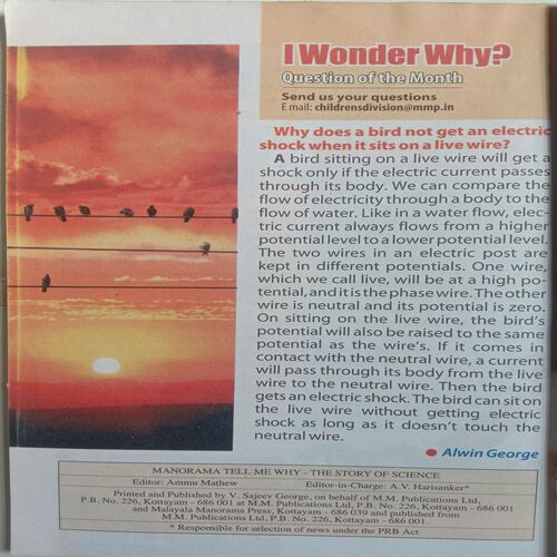 Tell Me Why (September 2012)