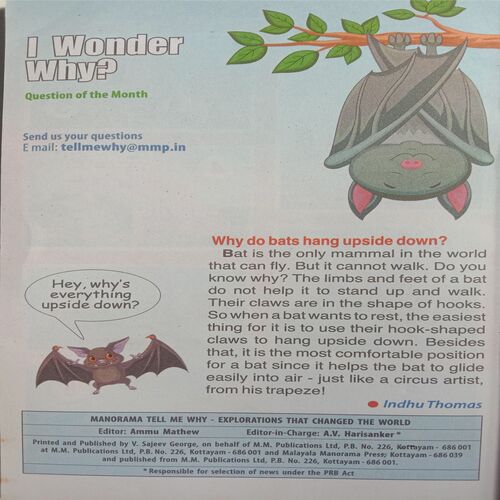 Tell Me Why (May 2014)