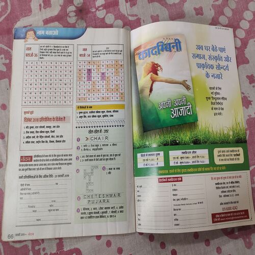 Nandan. ( February - 2019 ) .