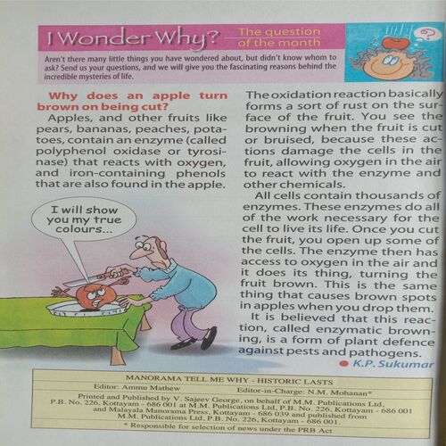 Tell Me Why (January 2012)