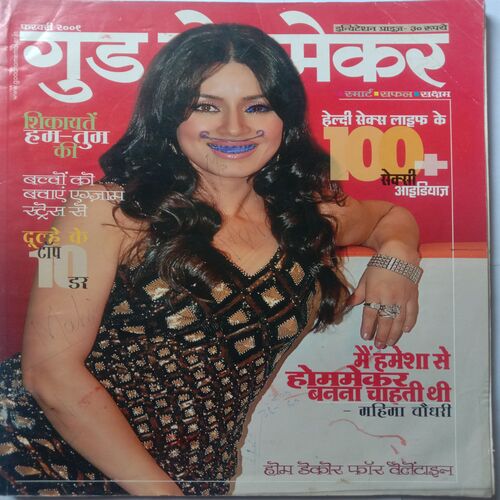 Good Homemaker (February 2009)