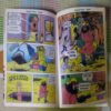 CHACHA CHAUDHARY AND RAAKA BRIGADE