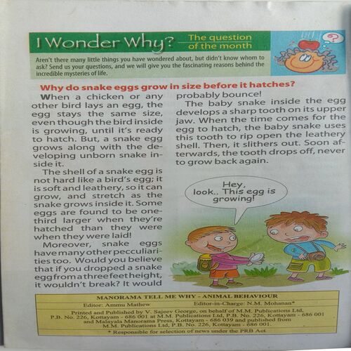 Tell Me Why (February 2010)