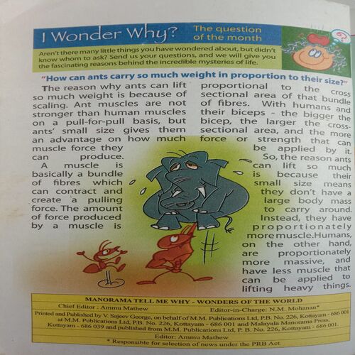 Tell Me Why (December 2007)