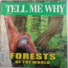 Tell Me Why (September 2013)