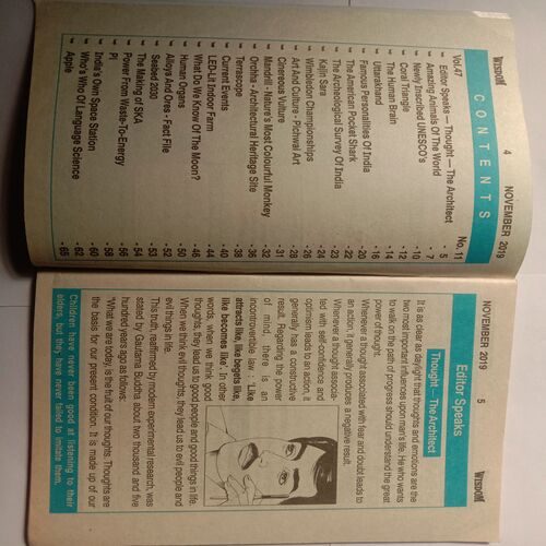 Wisdom (November 2019)