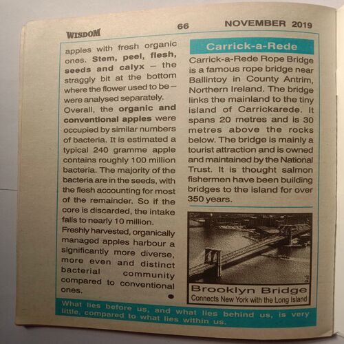Wisdom (November 2019)