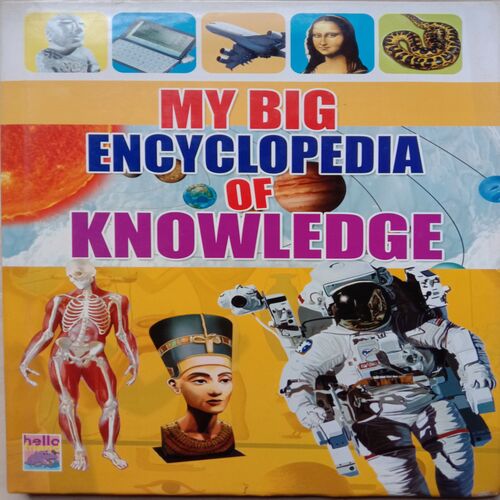 My Big Encyclopedia Of Knowledge