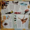 My Big Encyclopedia Of Knowledge